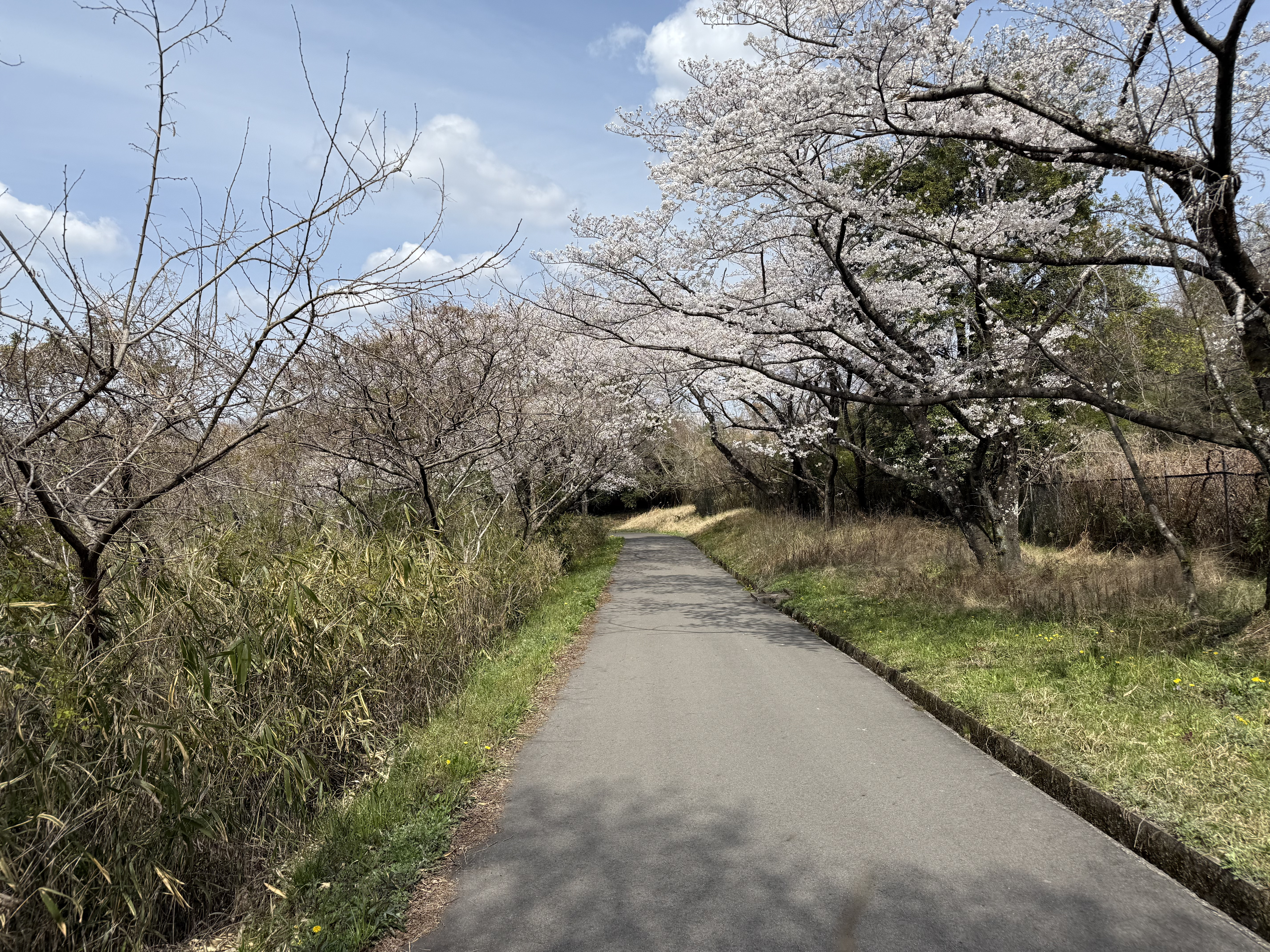 研究室での写真